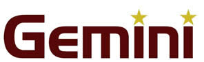 Logo: Gemini